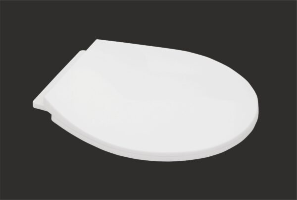 Ewc Seat cover (B)